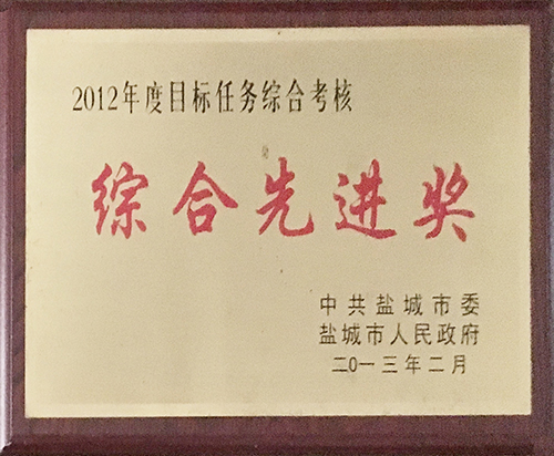 2013年2月目標(biāo)任務(wù)綜合考核綜合先進(jìn)獎.JPG